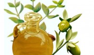właściwości i zastosowanie olejku jojoba